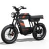 Riding’times GT33 cargo electric bike dual battery studio view from the right