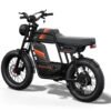 Riding’times GT33 cargo electric bike dual battery studio view from the rear