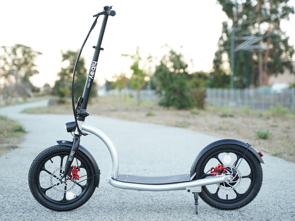 Hiboy VE1 Pro big-wheel electric scooter side profile on a park path