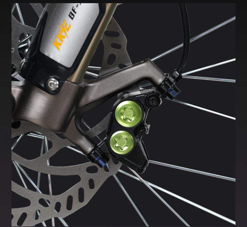 Surron Light Bee X electric dirt bike integral brake caliper and 203 mm disc